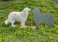 grosser Hund