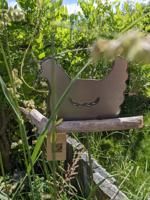 Hühnchen auf Schwemmholz