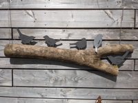 Vögel auf Naturast
